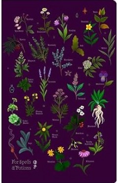 Anna Stead: For Spells &amp; Potions
